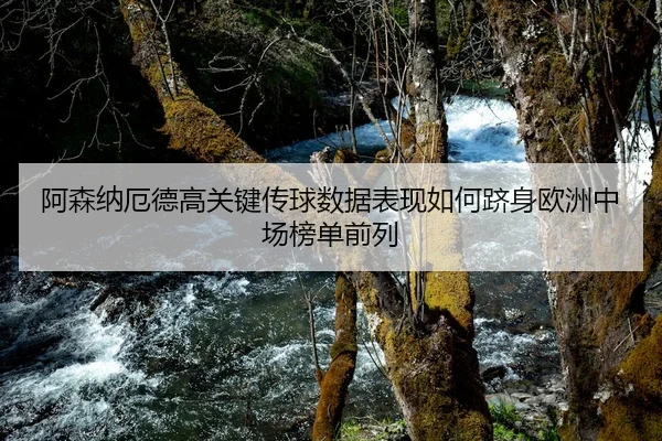 阿森纳厄德高关键传球数据表现如何跻身欧洲中场榜单前列